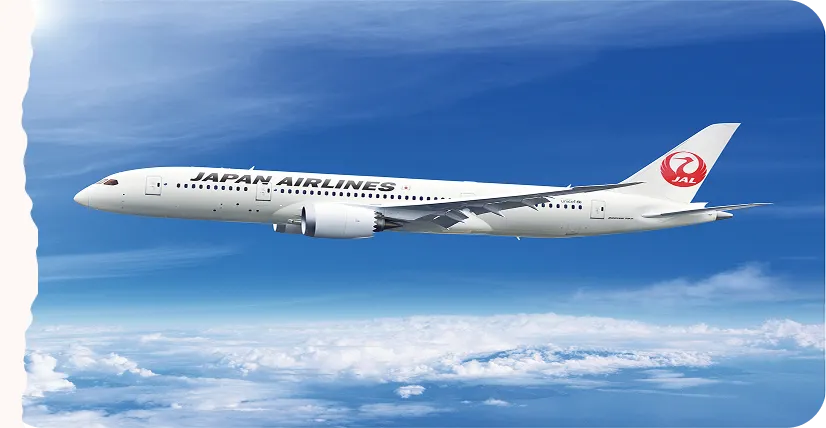 JAL機のイメージ
